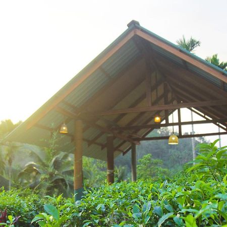 Rainforest Mount Lodge Deniyaya Kültér fotó