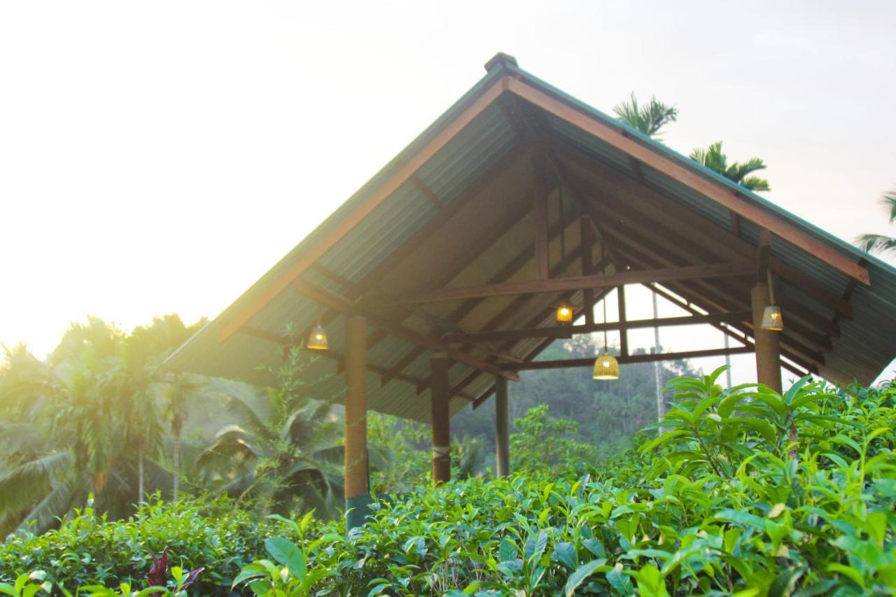 Rainforest Mount Lodge Deniyaya Kültér fotó