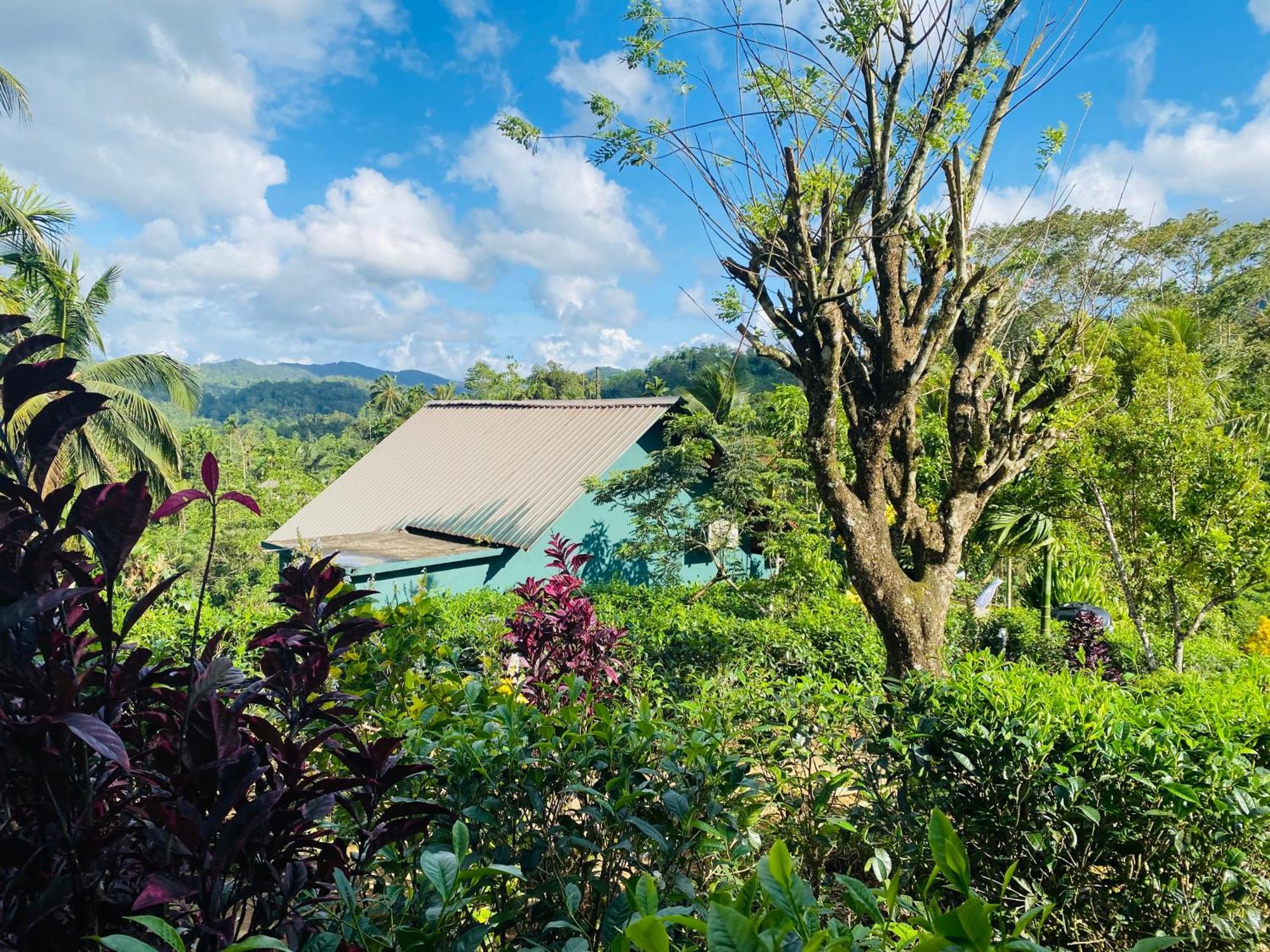Rainforest Mount Lodge Deniyaya Kültér fotó