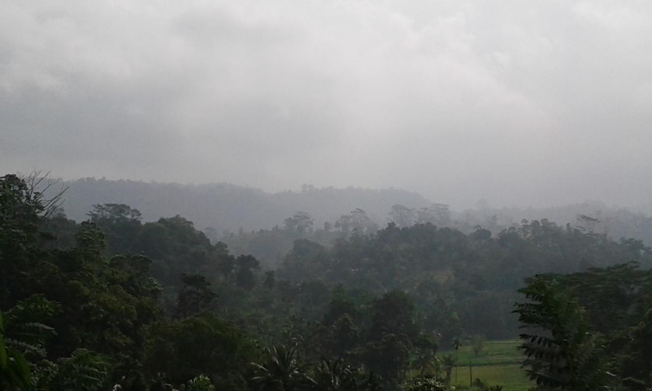 Rainforest Mount Lodge Deniyaya Kültér fotó