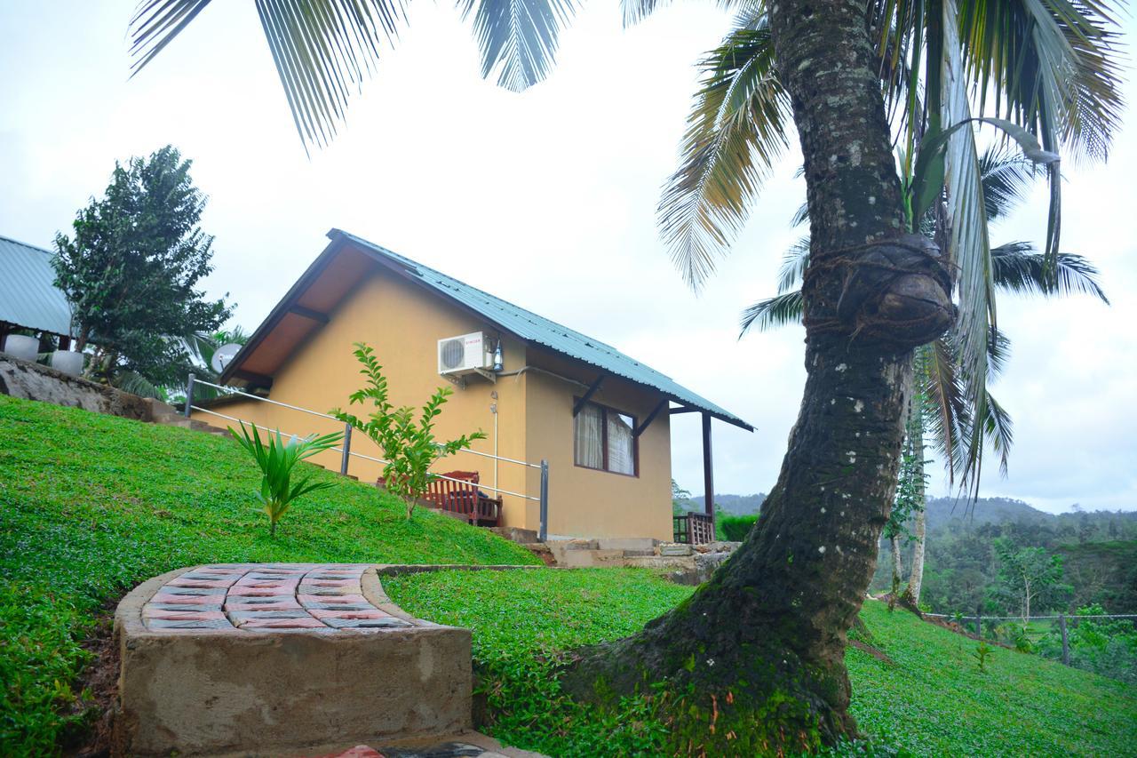 Rainforest Mount Lodge Deniyaya Kültér fotó