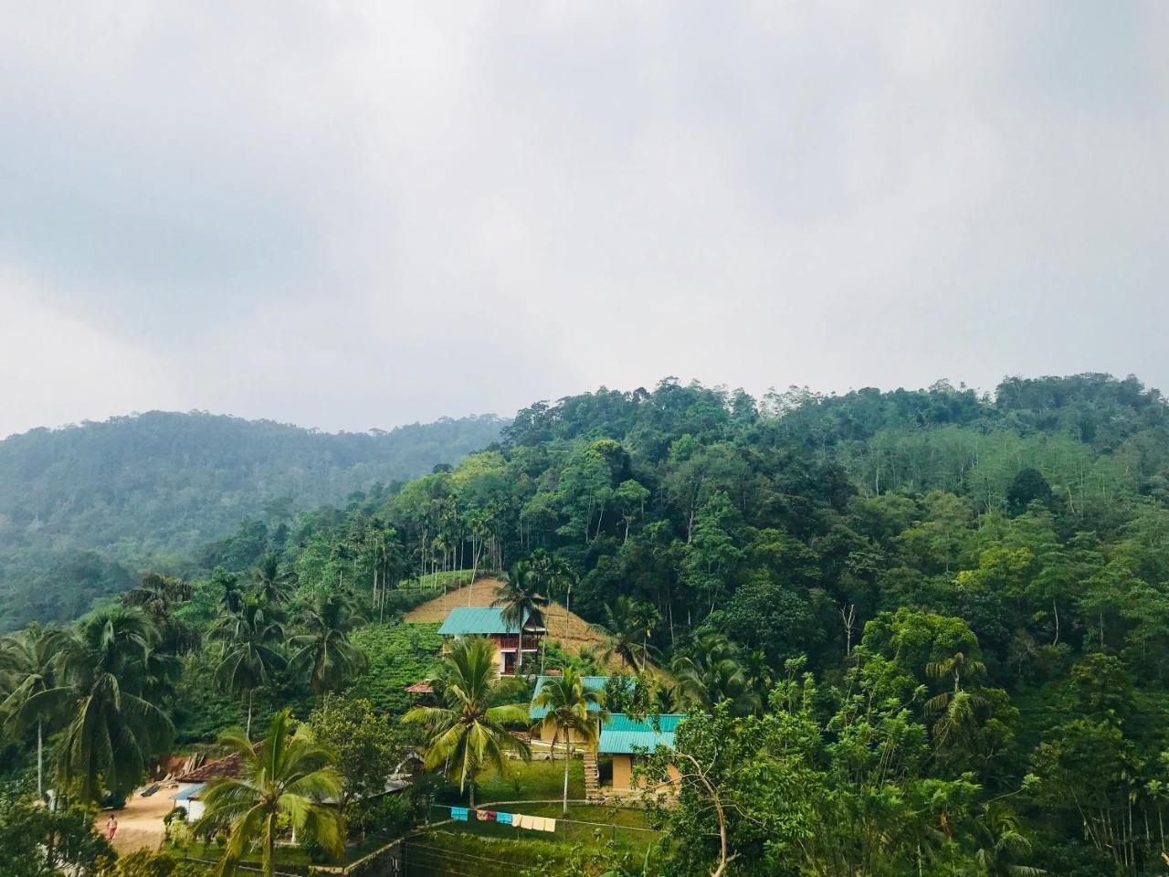 Rainforest Mount Lodge Deniyaya Kültér fotó