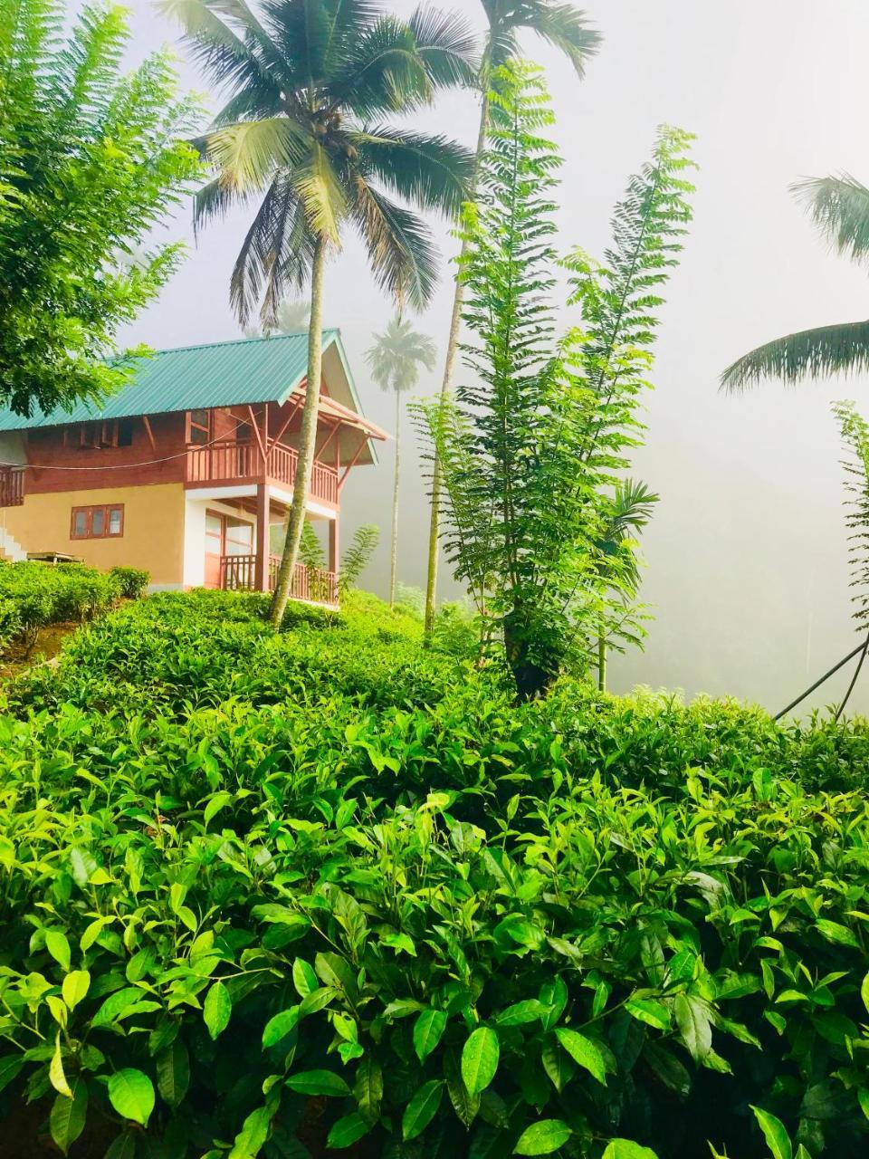 Rainforest Mount Lodge Deniyaya Kültér fotó