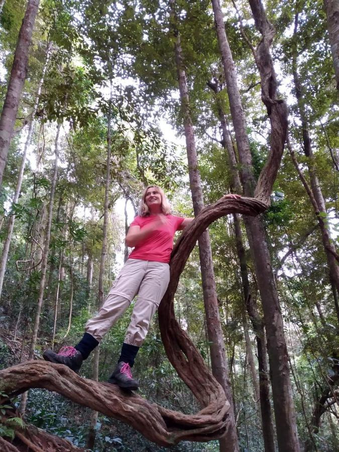 Rainforest Mount Lodge Deniyaya Kültér fotó