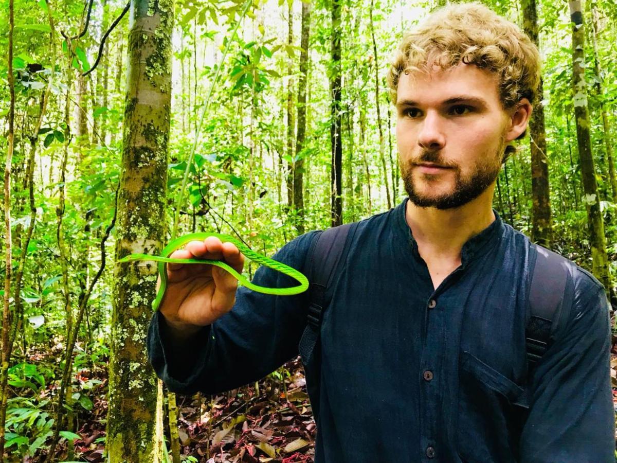 Rainforest Mount Lodge Deniyaya Kültér fotó