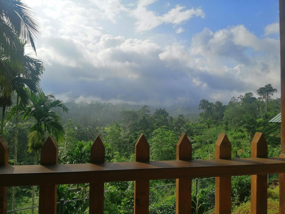 Rainforest Mount Lodge Deniyaya Kültér fotó